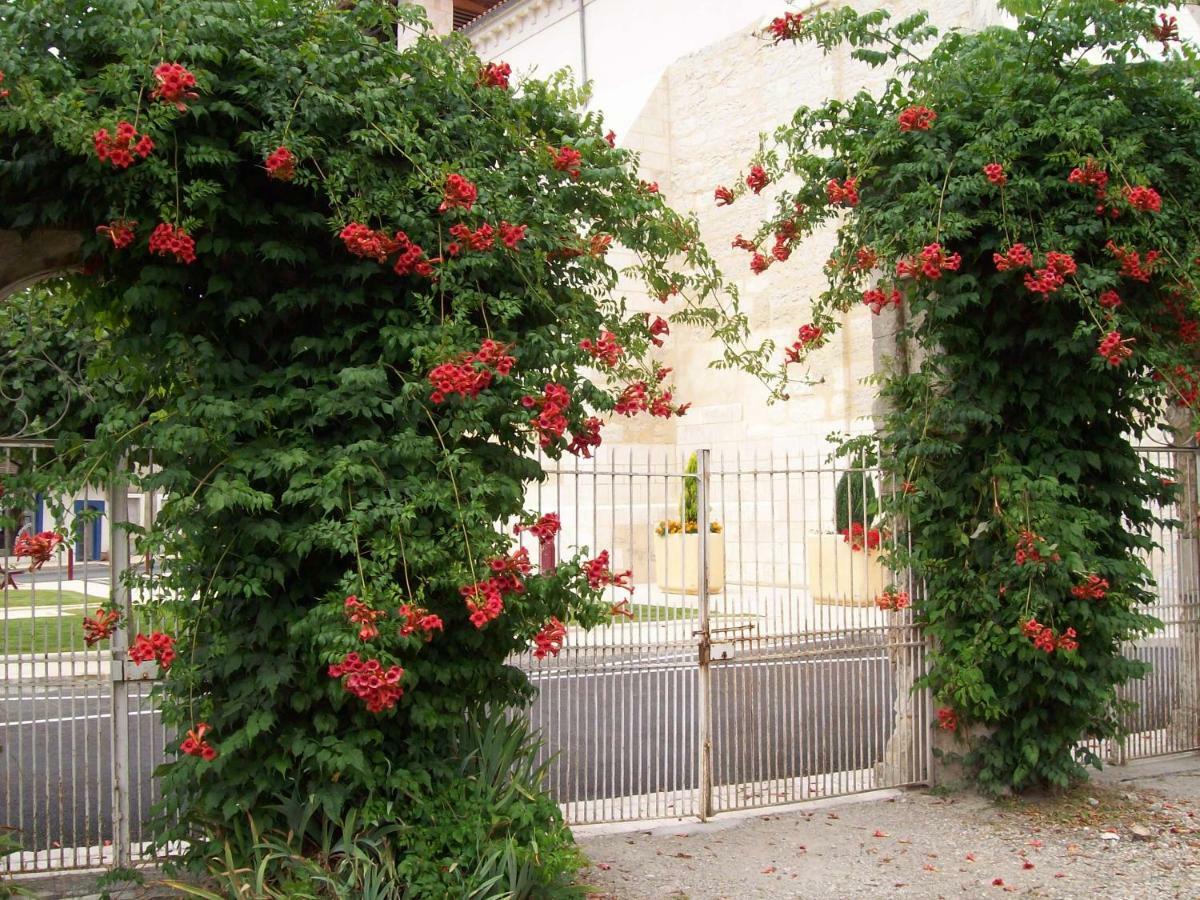 Chateau La Gentilhommiere Du Puits Notre-Dame 30 Rue De L'Eglise 24110 Saint Leon Sur L'Isle Exterior photo
